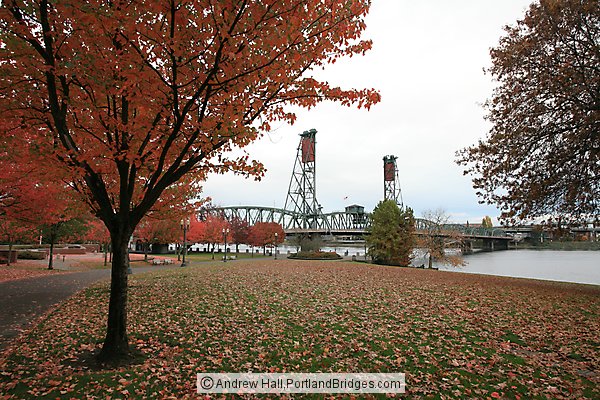 Hawthorne Bridge, Fall Leaves, Tom McCall Waterfront Park (Portland, Oregon)