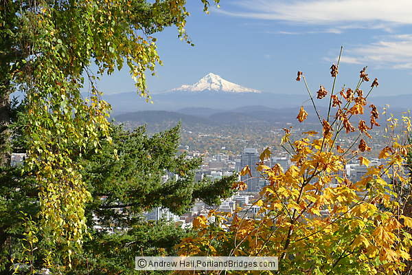 Mt. Hood, Fall Leaves from Pittock Mansion (Portland, Oregon)