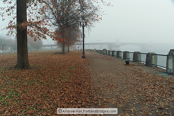 Tom McCall Waterfront Park, Fall Leaves