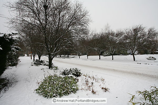 Portland Snow, Knott Street, Irvington Neighborhood