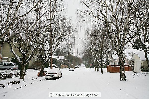 Portland Snow, Irvington Neighborhood, Northeast Portland