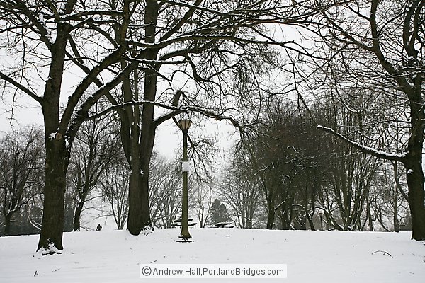 Portland Snow, Irving Park, Northeast Portland