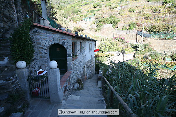 Cinque Terre: Between Vernazza and Monterosso