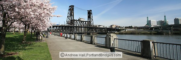 Tom McCall Waterfront Park, Blossoms, Steel Bridge (Portland, Oregon)