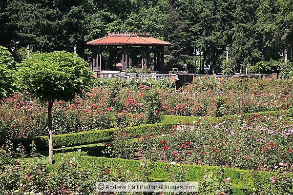 Peninsula Park Rose Garden, North Portland
