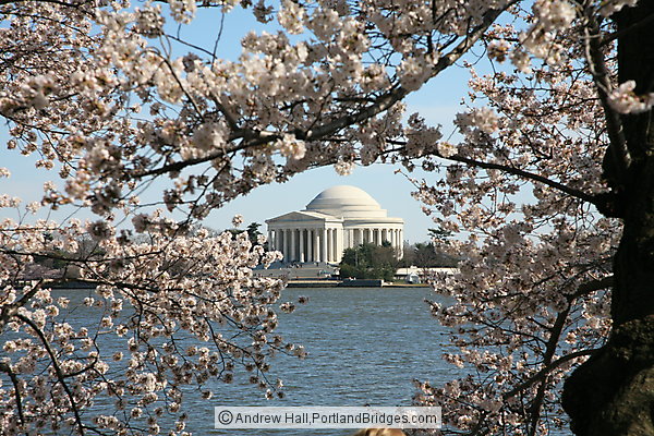 Jefferson Memorial, Spring Blossoms, Tidal Basin