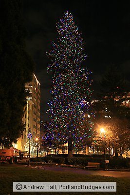 Esther Short Christmas Tree, Vancouver, WA, 2010 (Portland, Oregon)