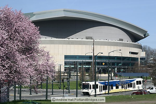 Spring Blossoms, MAX Train, Rose Garden Arena (Portland, Oregon)