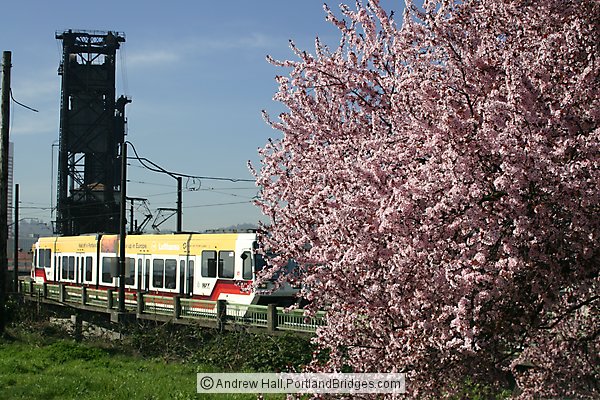 MAX Train, Steel Bridge, Spring Blossoms (Portland, Oregon)