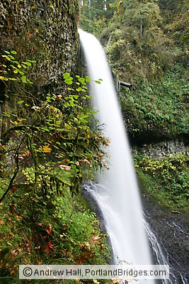 Silver Falls State Park:  Middle North Falls