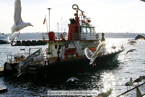 Seattle Gulls, Docks, Fire Boat