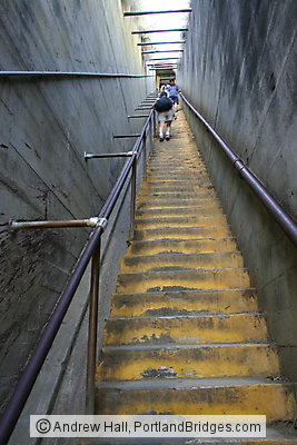 Oahu, Hawaii:  Diamond Head Hike, Stairs