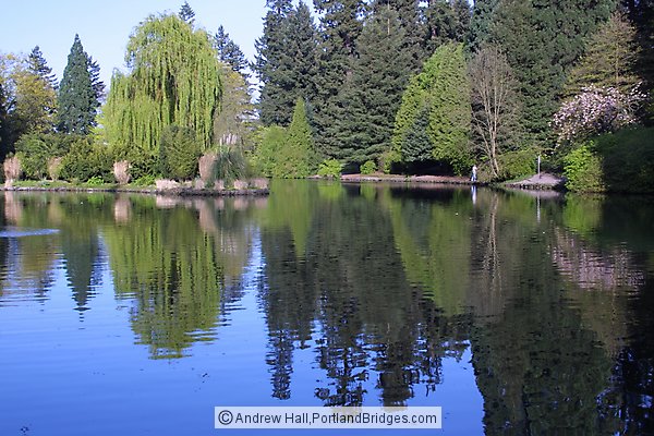 Laurelhurst Park, Lake, Ducks, Portland