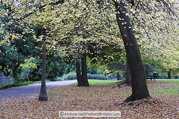 Laurelhurst Park, Fall Leaves (Portland, Oregon)