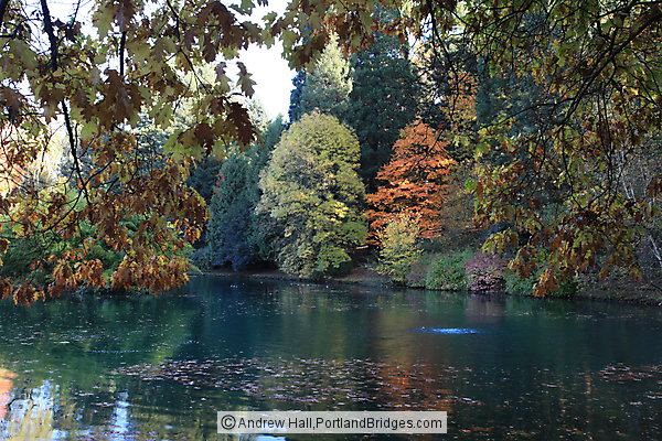 Laurelhurst Park Pond, Fall Leaves (Portland, Oregon)