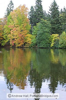 Laurelhurst Park, Lake Reflections, Fall Leaves (Portland, Oregon)
