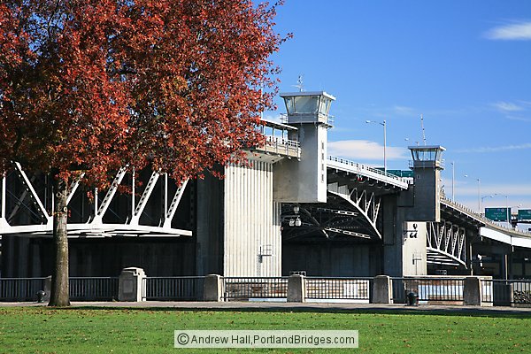 Morrison Bridge, Fall Leaves (Portland, Oregon)