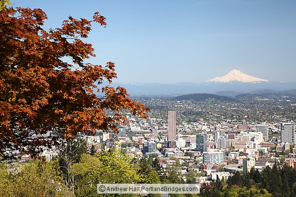 Portland Mt. Hood View from Pittock Mansion