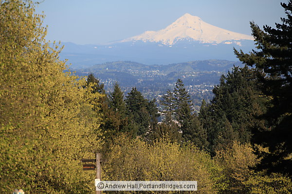 Mt. Hood from Council Crest Park (Portland, Oregon)
