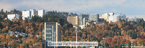 OHSU, Veterans Hospital, Portland Aerial Tram, Fall Leaves