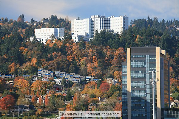 Veterans Hospital, OHSU, Portland Aerial Tram, Fall Leaves