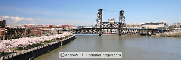 Waterfront Blossoms, Steel Bridge, Two MAX Trains, Rose Garden Arena (Portland, Oregon)