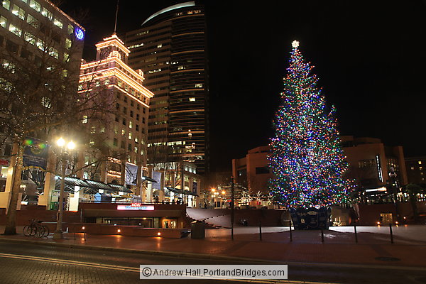 2012 Pioneer Courthouse Square Christmas Tree, Night (Portland, Oregon)