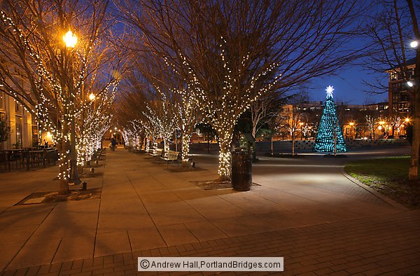 Pearl District Jamison Square, Christmas Lights, Portland