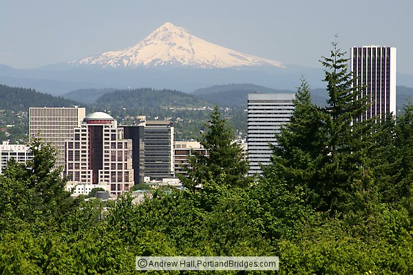 Mt. Hood from Washington Park (Portland, Oregon)