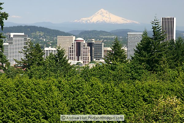 Portland City View, Mt. Hood, From Rose Garden
