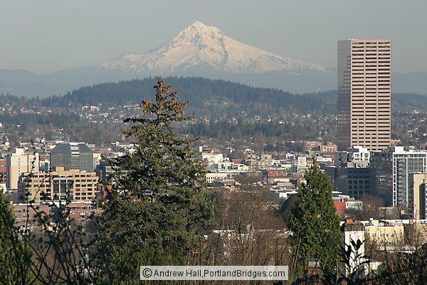 Mt. Hood, US Bancorp Tower, Trees (Portland, Oregon)