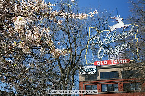 Portland, Oregon Sign, Waterfront Blossoms