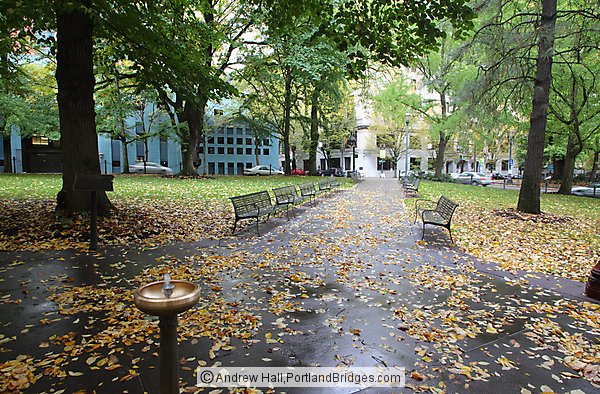 Chapman Square, Fall Leaves, Downtown Portland