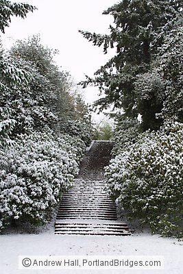 Portland Snow, Lauelhurst Park