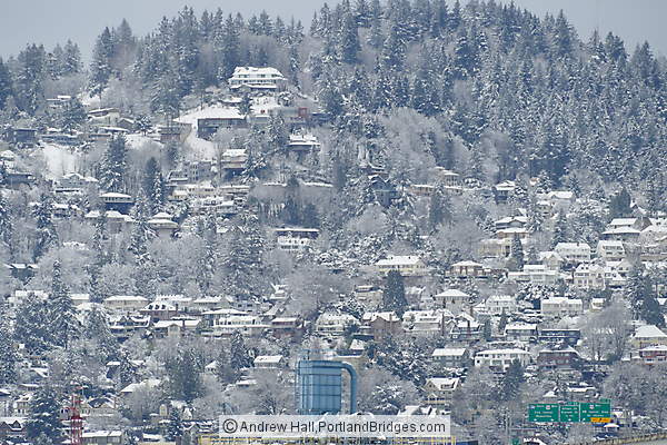 Snow in West Hills, Portland