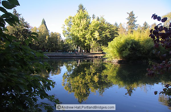 Laurelhurst Park Pond, Trees (Portland, Oregon)