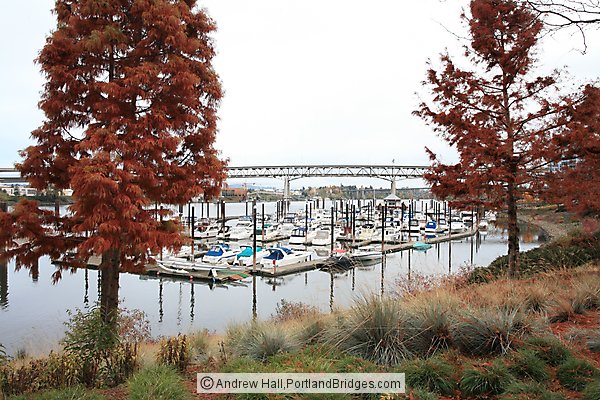 Riverplace Marina, Tom McCall Waterfront Park (Portland, Oregon)