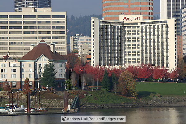Marriott Hotel and Riverplace, Fall Leaves (Portland, Oregon)