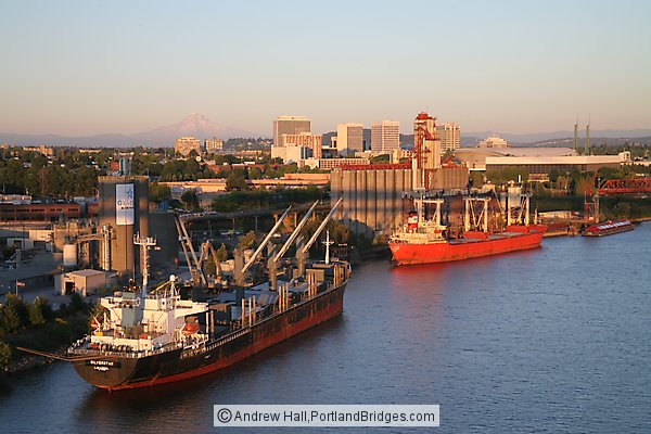 Portland Grain Ships