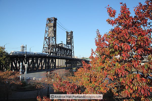 Steel Bridge, Fall Leaves, MAX Train, Portland