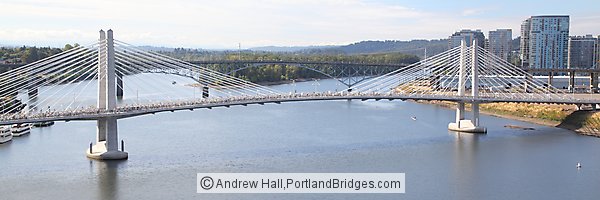 Tilikum Crossing Panoramic from Marquam Bridge (Portland, Oregon)
