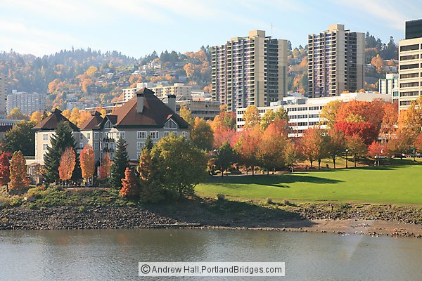 Waterfront, Fall Leaves, Riverplace Hotel (Portland, Oregon)