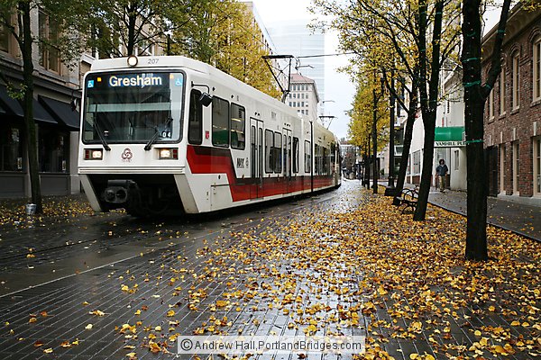 Portland MAX, Fall Leaves