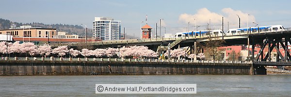 Waterfront Blossoms, Union Station, MAX Train, Fremont Bridge (Portland, Oregon)