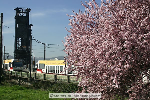 MAX Train, Steel Bridge, Spring Blossoms (Portland, Oregon)