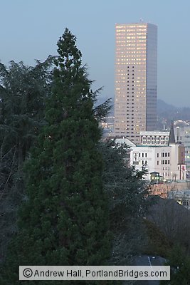 US Bancorp Tower, Tree, Dusk (Portland, Oregon)