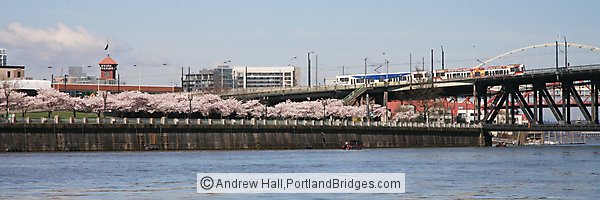 Waterfront Blossoms, Union Station, MAX Train (Portland, Oregon)