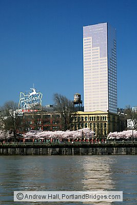 US Bancorp Tower, Portland, Oregon Sign, Waterfront Blossoms