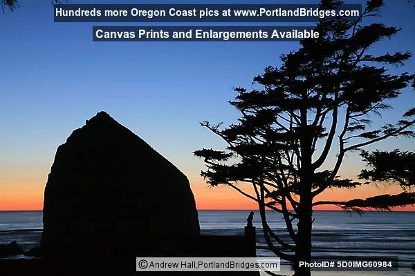 Cannon Beach, Oregon Coast, Haystack Rock, Silhouette 