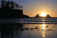 Oregon Coast Sunsets 